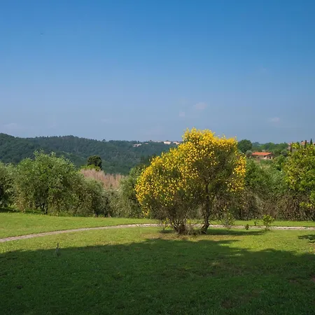 Renovated Barn With Terrace And Shared Pool Montaione
